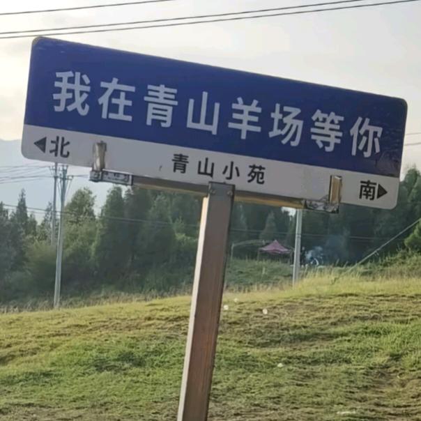 青山羊养殖场