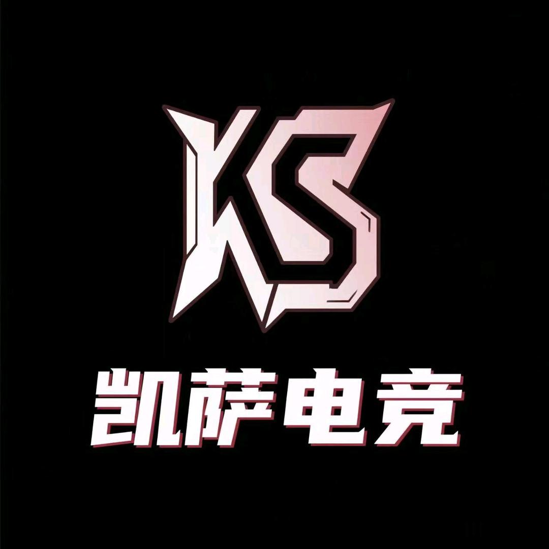 凯萨电竞（三角洲代肝）