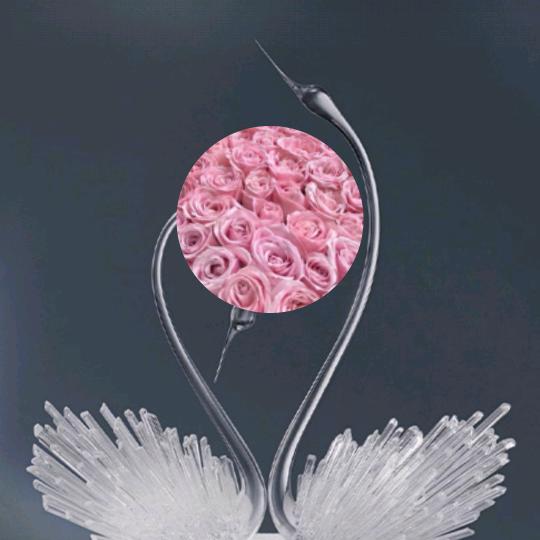 《  回忆故乡》