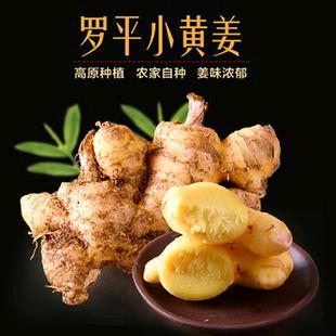 云南罗平小黄姜
