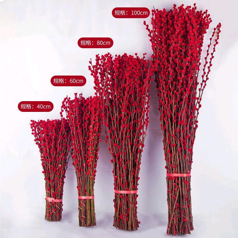 博硕花艺(银柳基地)