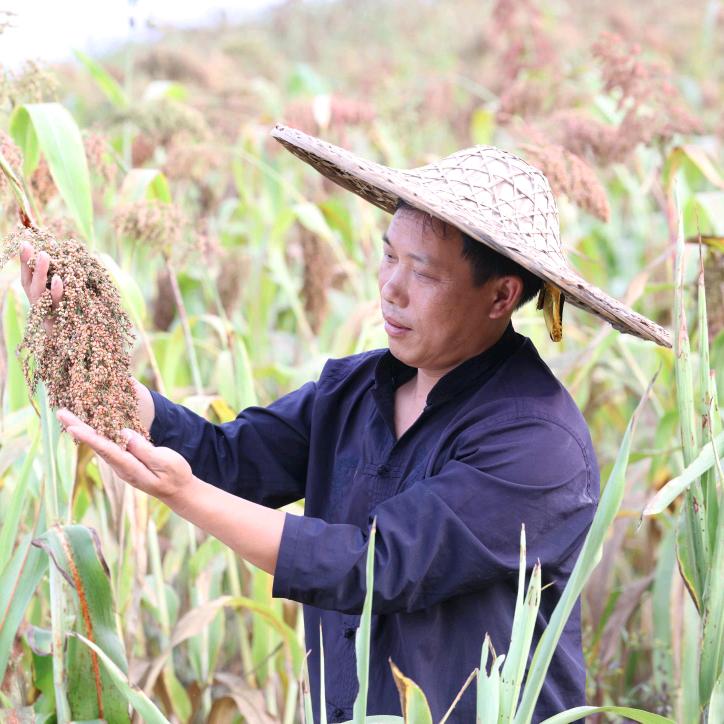 农村发哥土特产