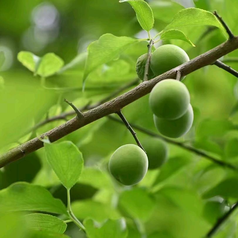 小李学投资