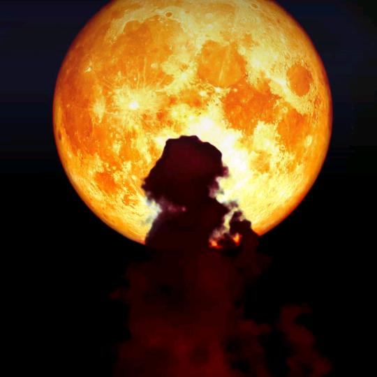 এ᭄情丝绕指柔ོꦿృ༊