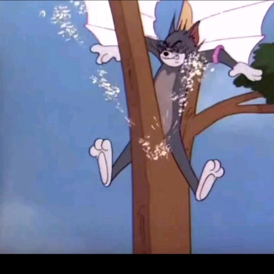 偷吃香菜的乖乖