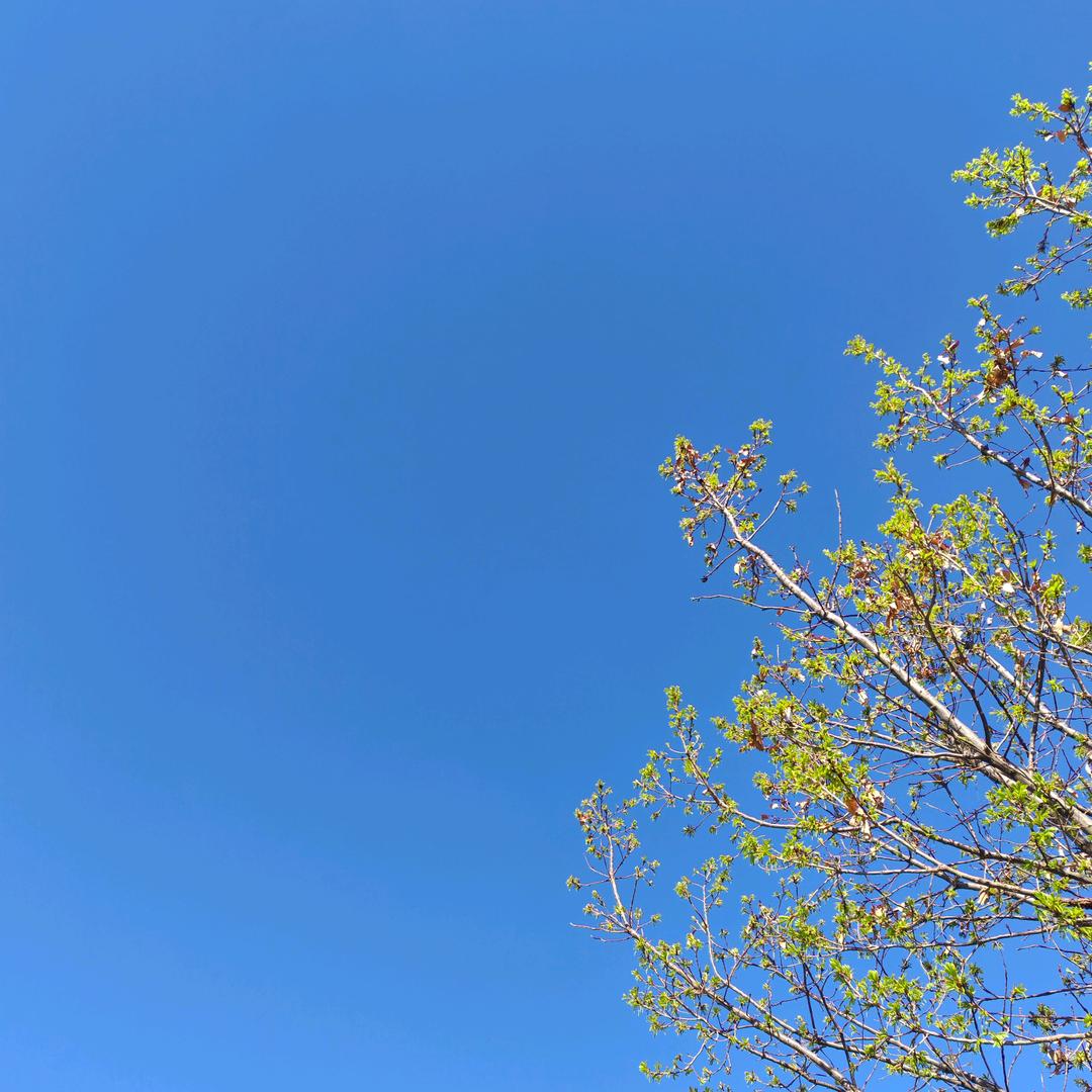 小吉在内蒙