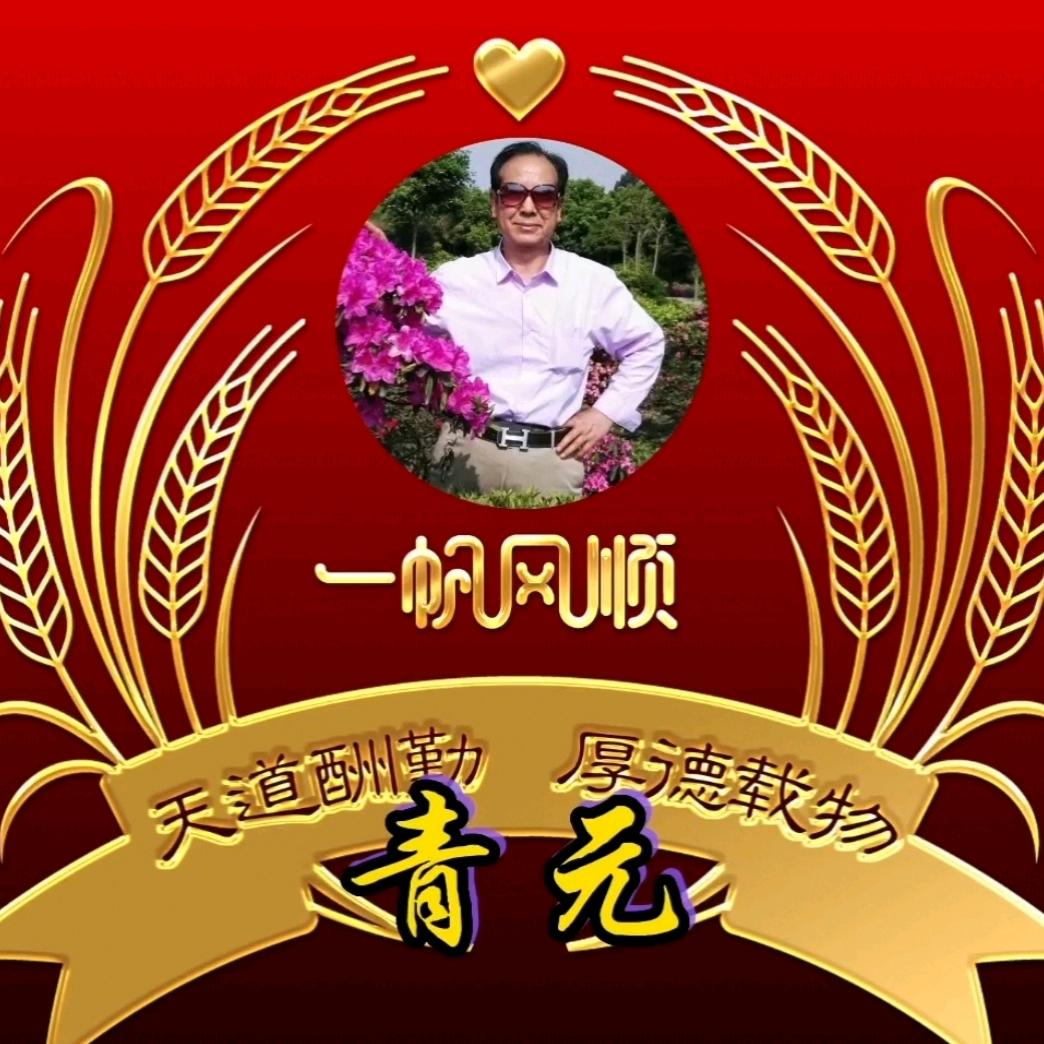 青元摄影