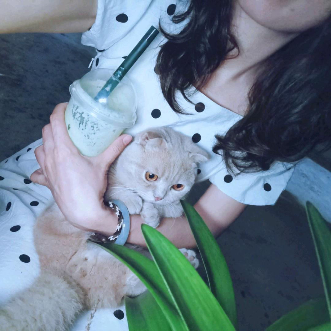 G  Ling