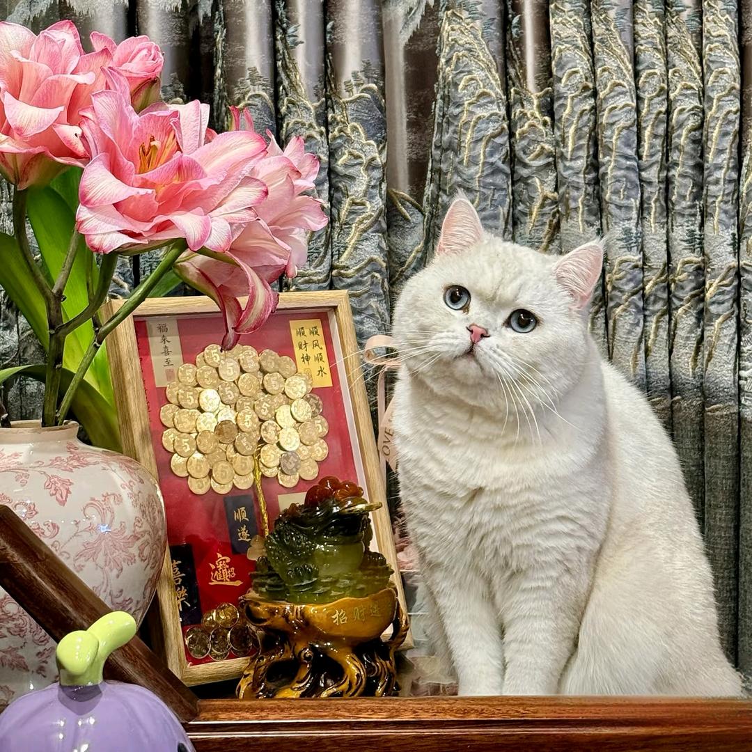 ✧* 八月忆中人✧*