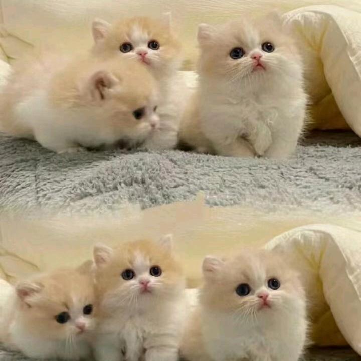 海口腾荣森房地产有限公司