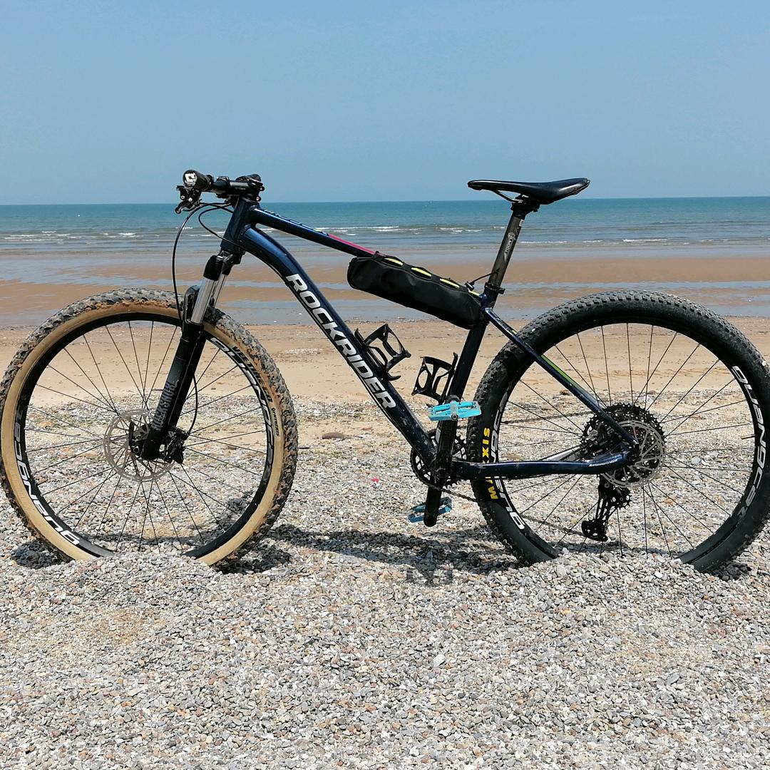 星光下的梦想ZY