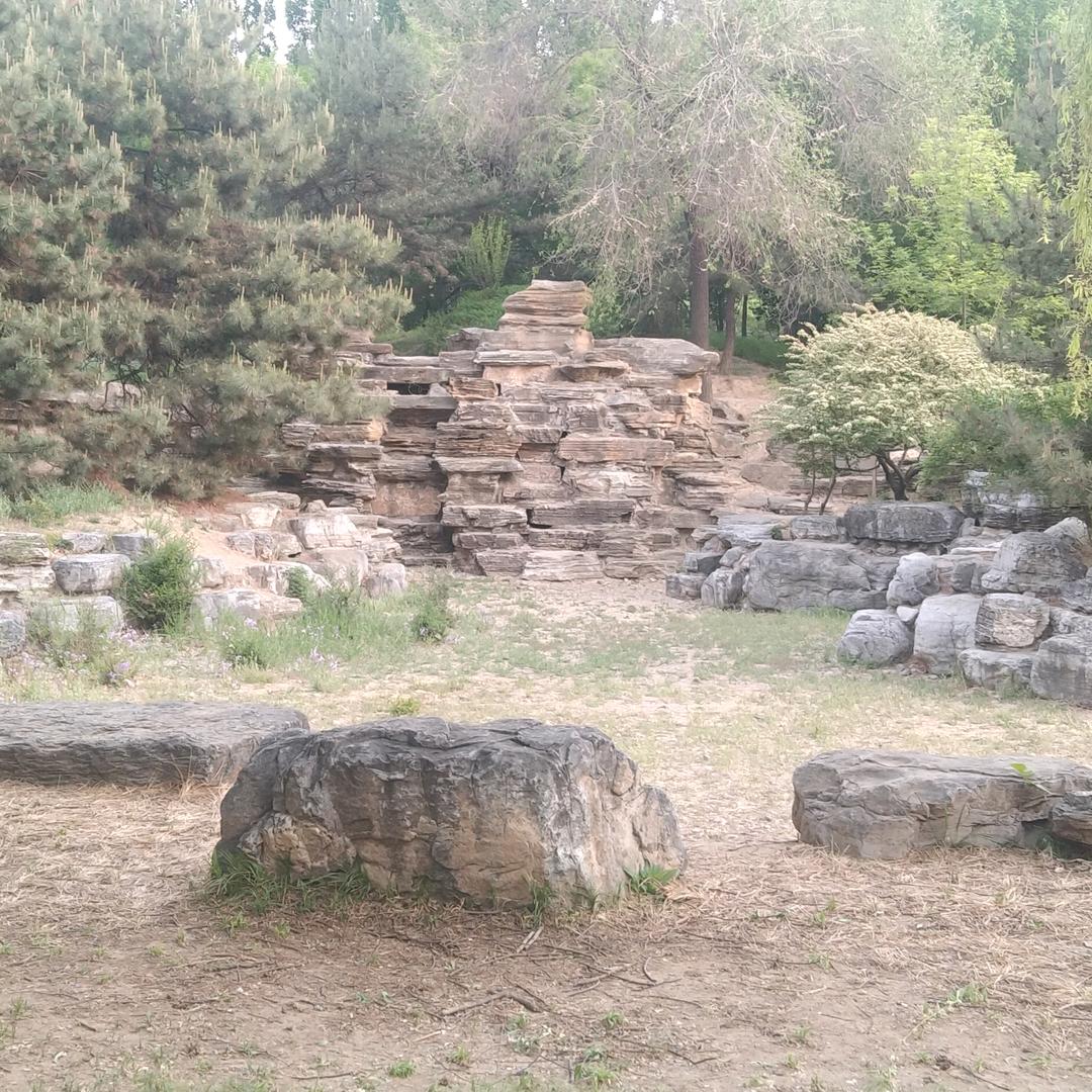 星星犬舍，狗狗寄养所