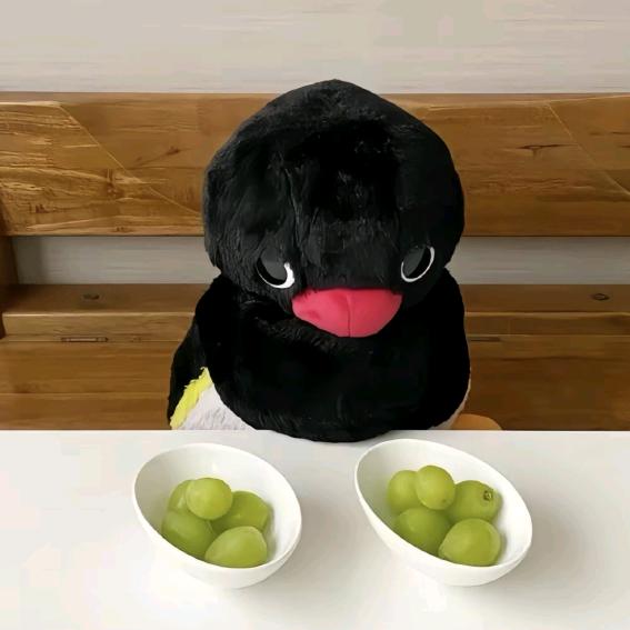 纯爱茉莉雨头像