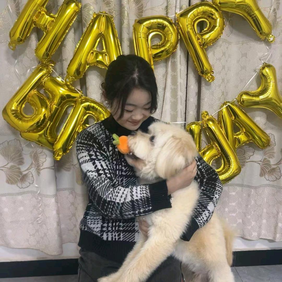 是皮皮不是比比