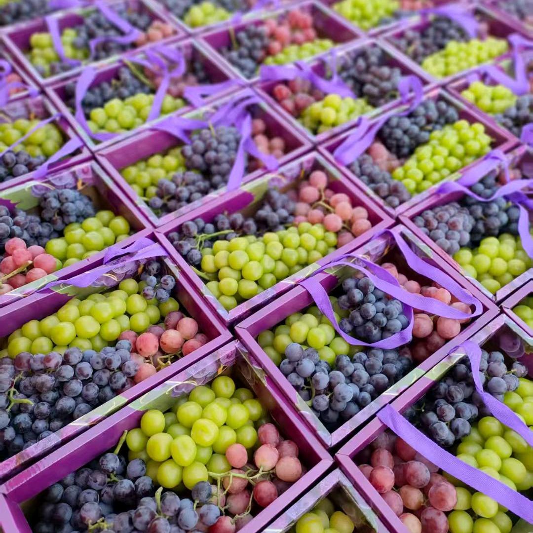 小龙、清徐葡萄🍇
