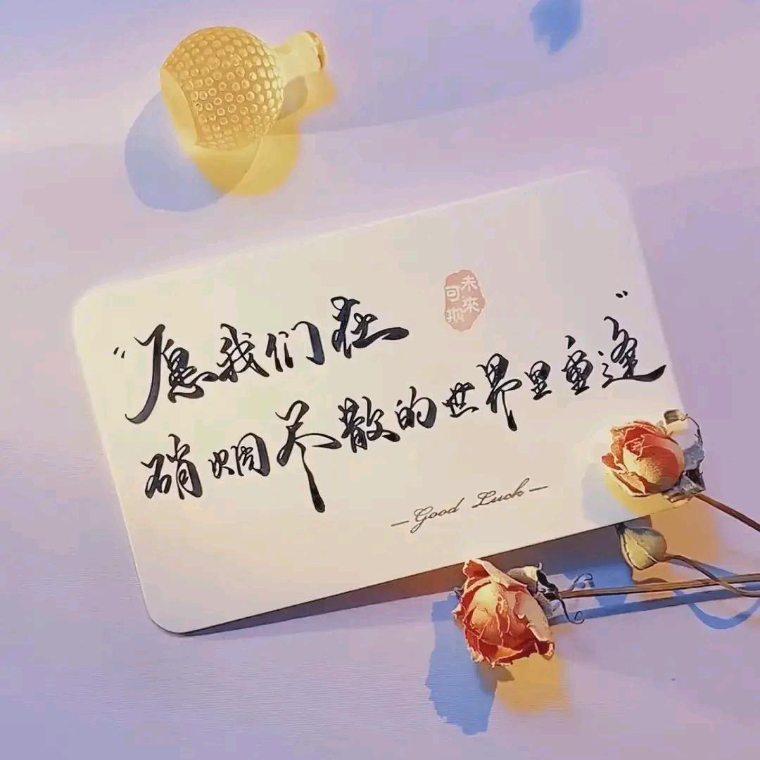 ༊༺WyZ❦DZ༻𝄢