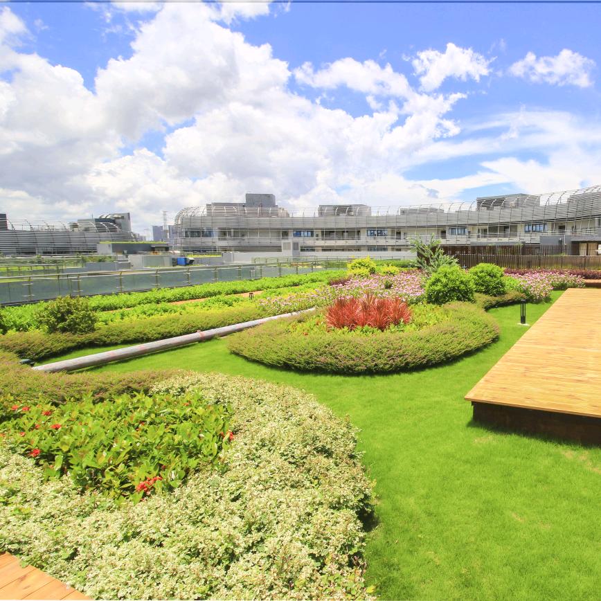 绿粤天台种植企业店