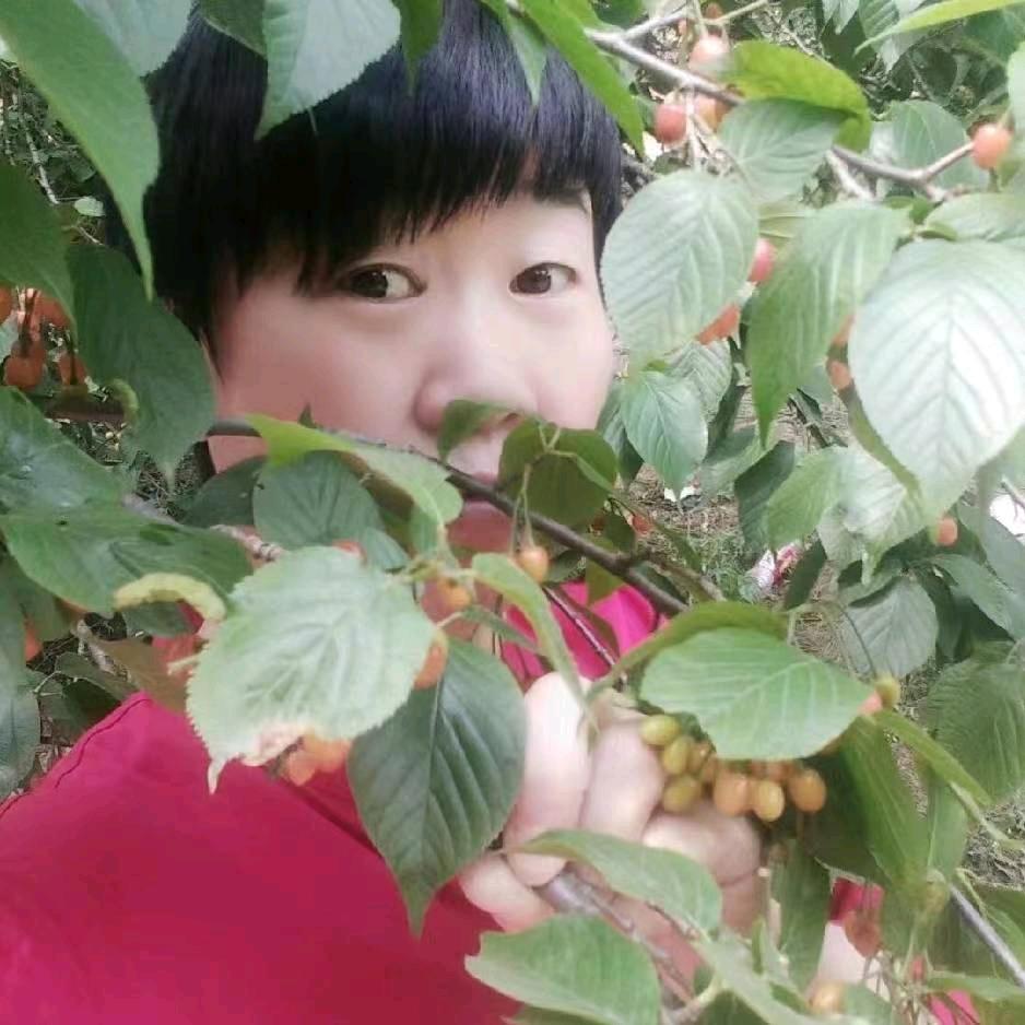 社旗凡姐