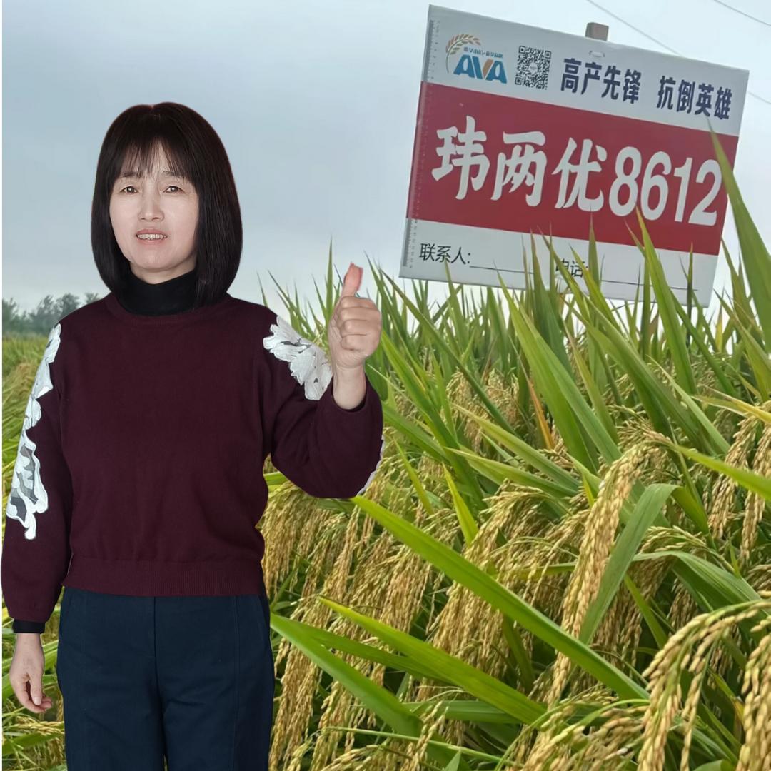 寿县板桥富农农技沈言芝