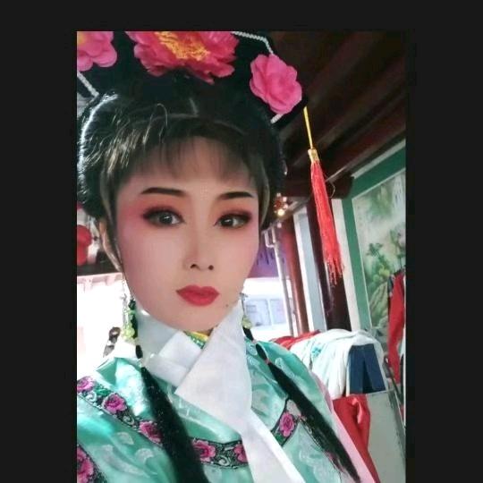 孤燕漂泊