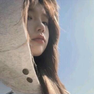 蛋蛋