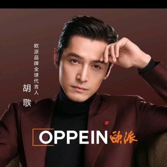 陆良欧派卫浴老徐