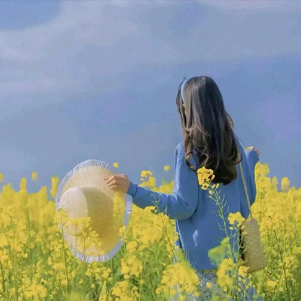 阳光总在风雨后