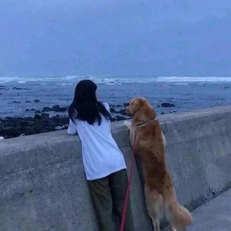 谁让你早恋了