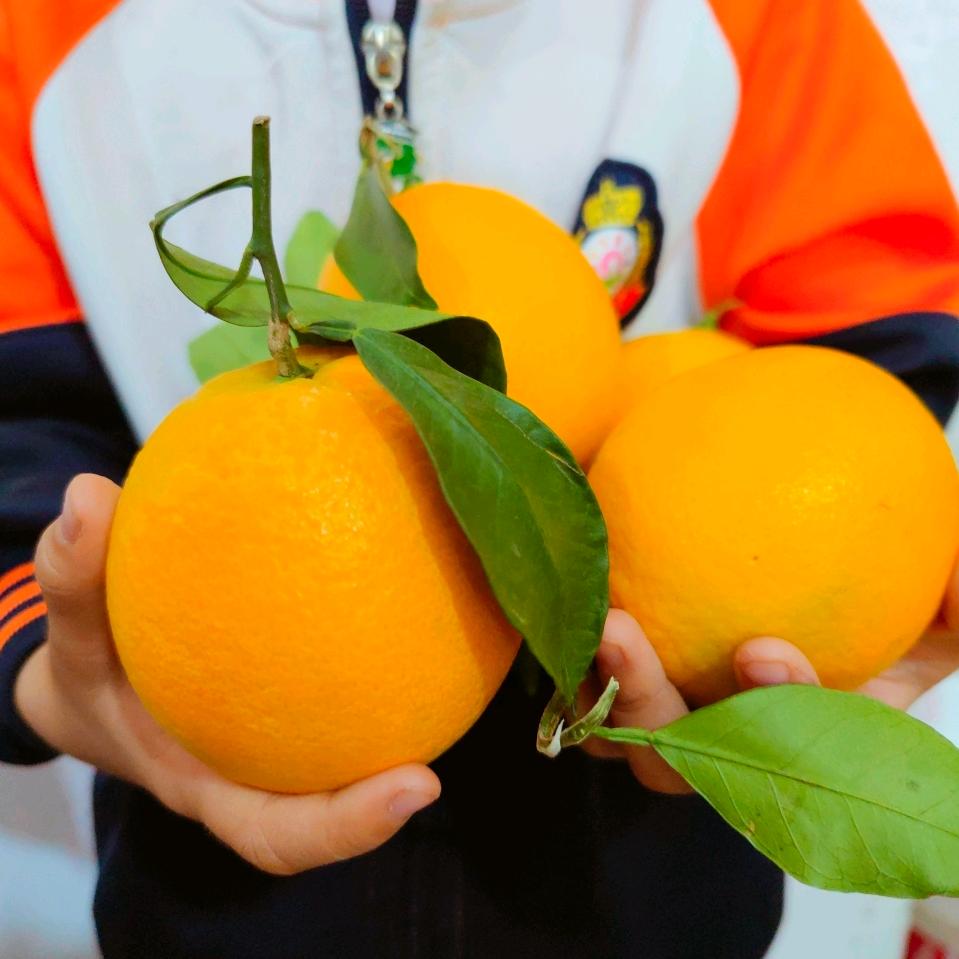 五金机电商城批发