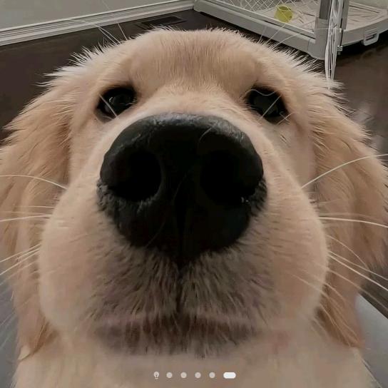 起个什么名字能引人注意