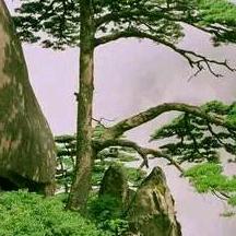 小袁在非洲（瑞松）
