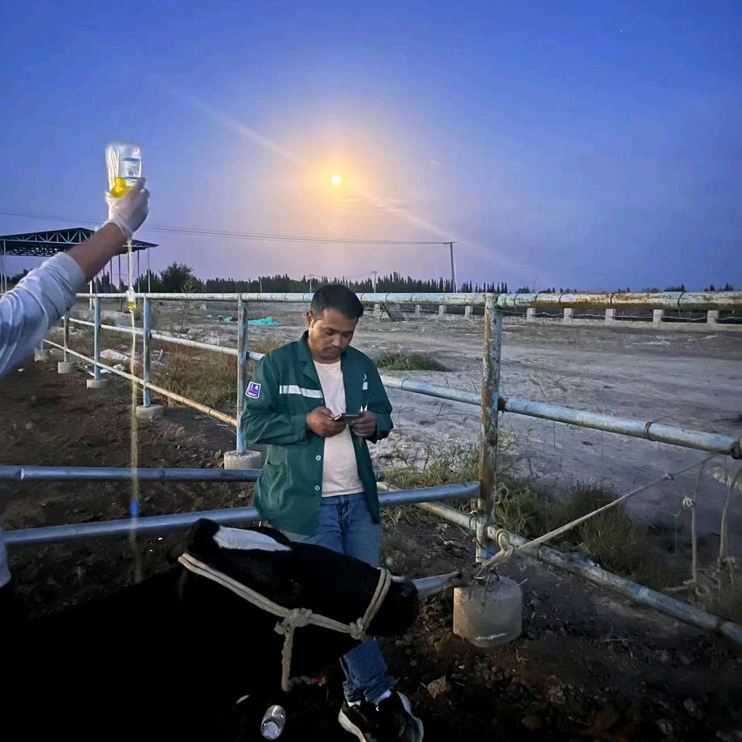 影子