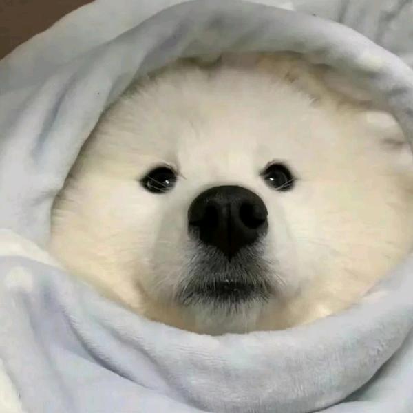 安静..