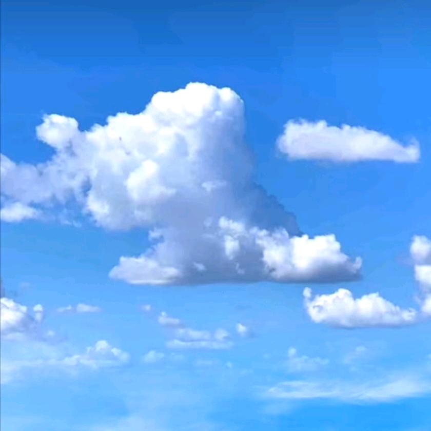 ⚜️岁月轻狂🚀