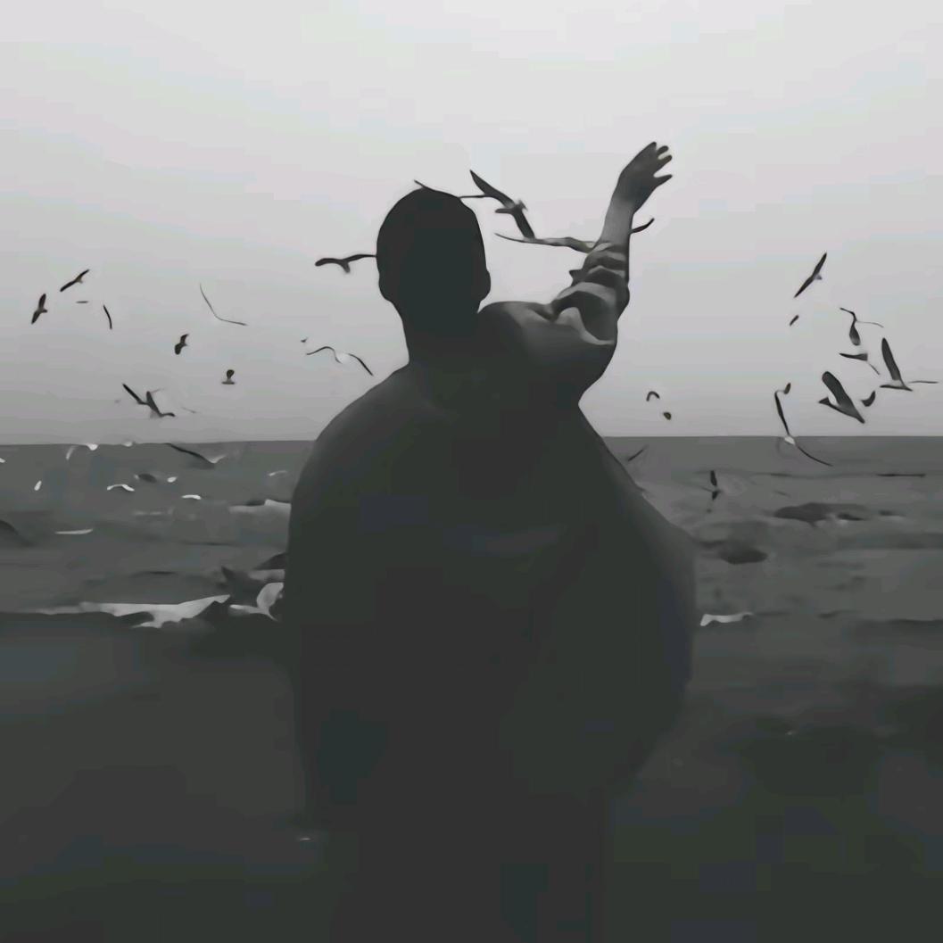 抢不到哇哈哈😭
