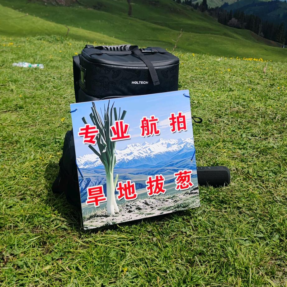 约拍库尔德宁旱地拔葱—摄影师陶子