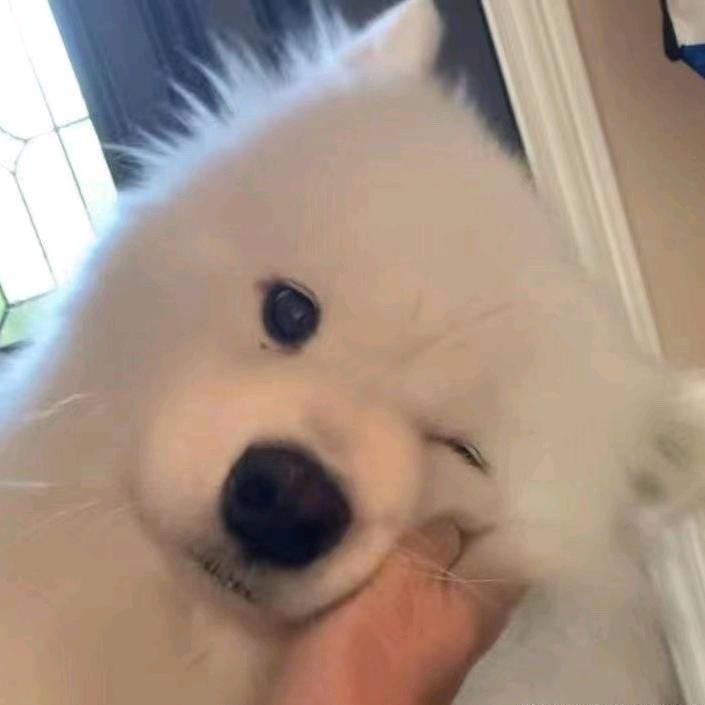 睡不醒（全游戏主播）