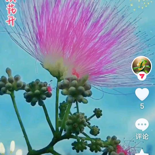 落英谷
