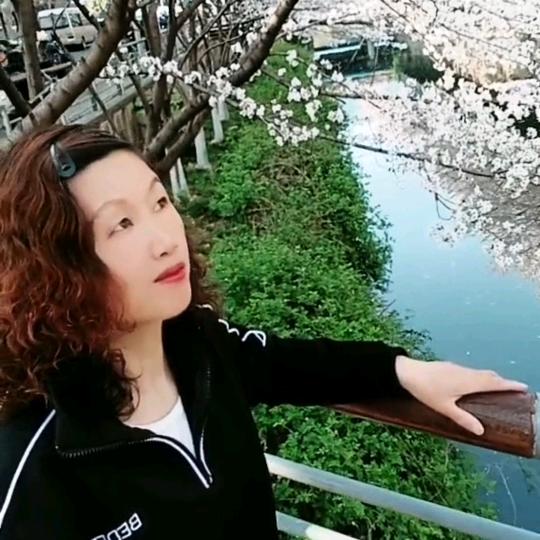 谈笑风生~平平淡淡才是真！