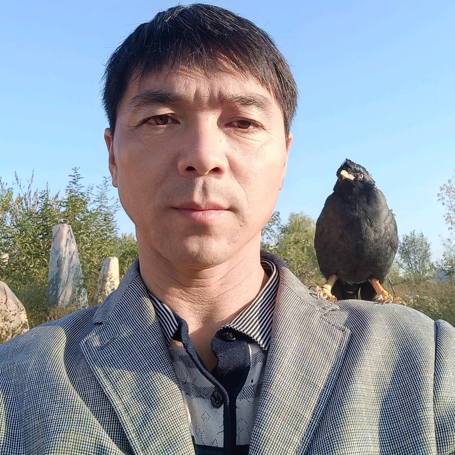 龙行天下
