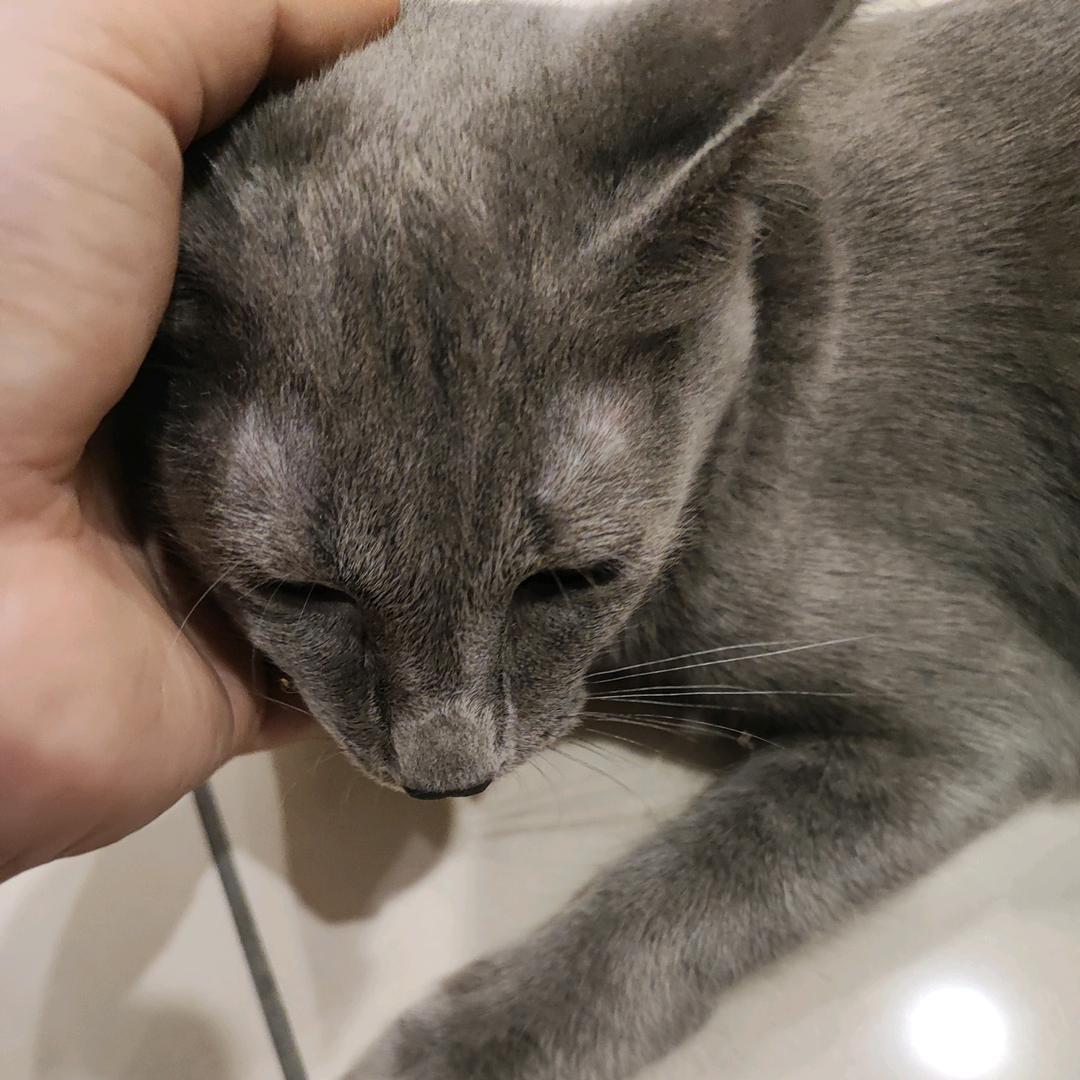 路遇在成长🐈头像