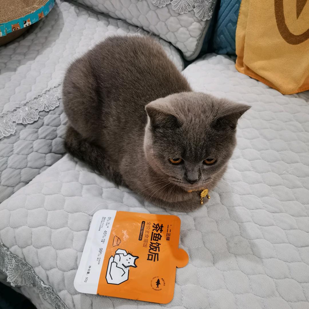 一如既往《好物在橱窗》