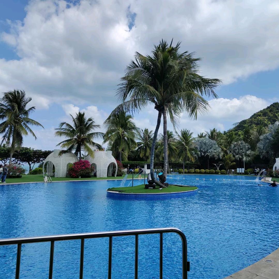 想不出来名字的菇凉