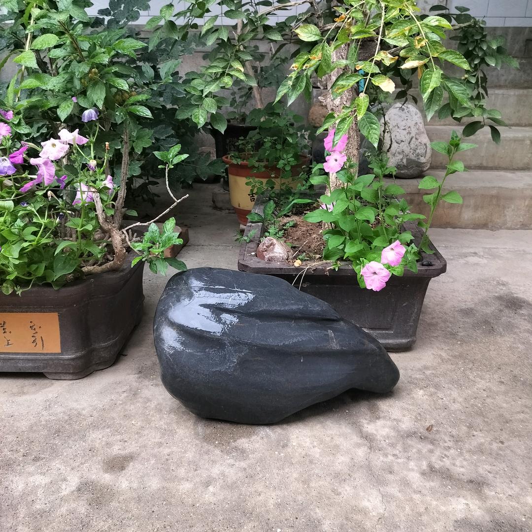 武山陇原驾培中心