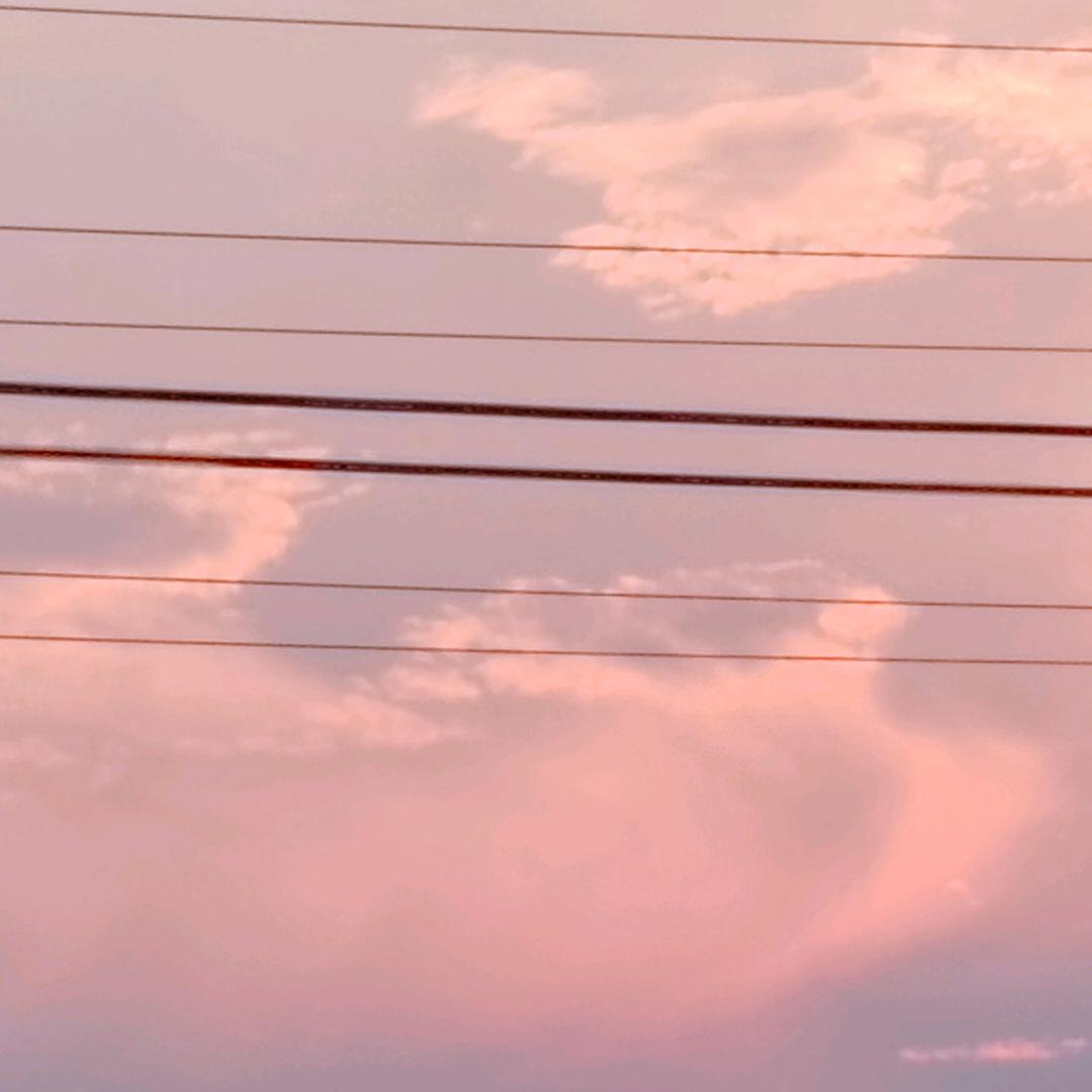 台州市路桥三景页针织品商行