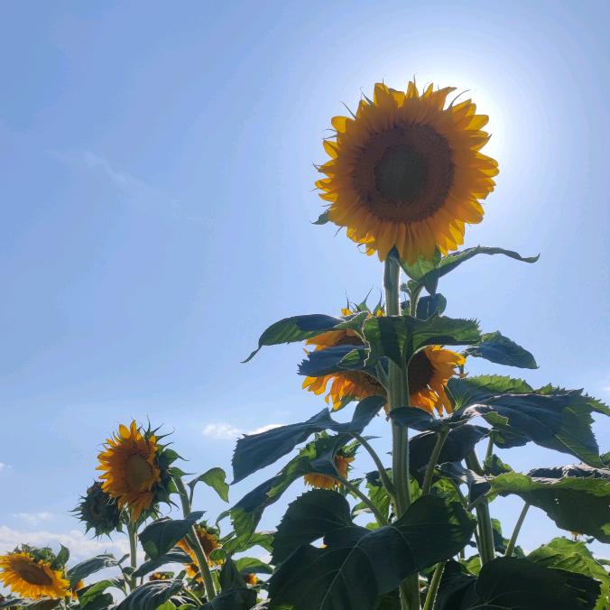 1+1=4   ^•^ 明朝瑞薪