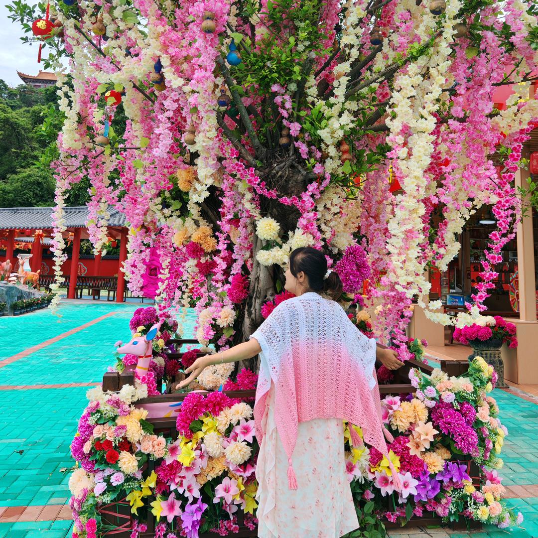 💐((🌺⥎🌺))🌹倾城一(顾🌺