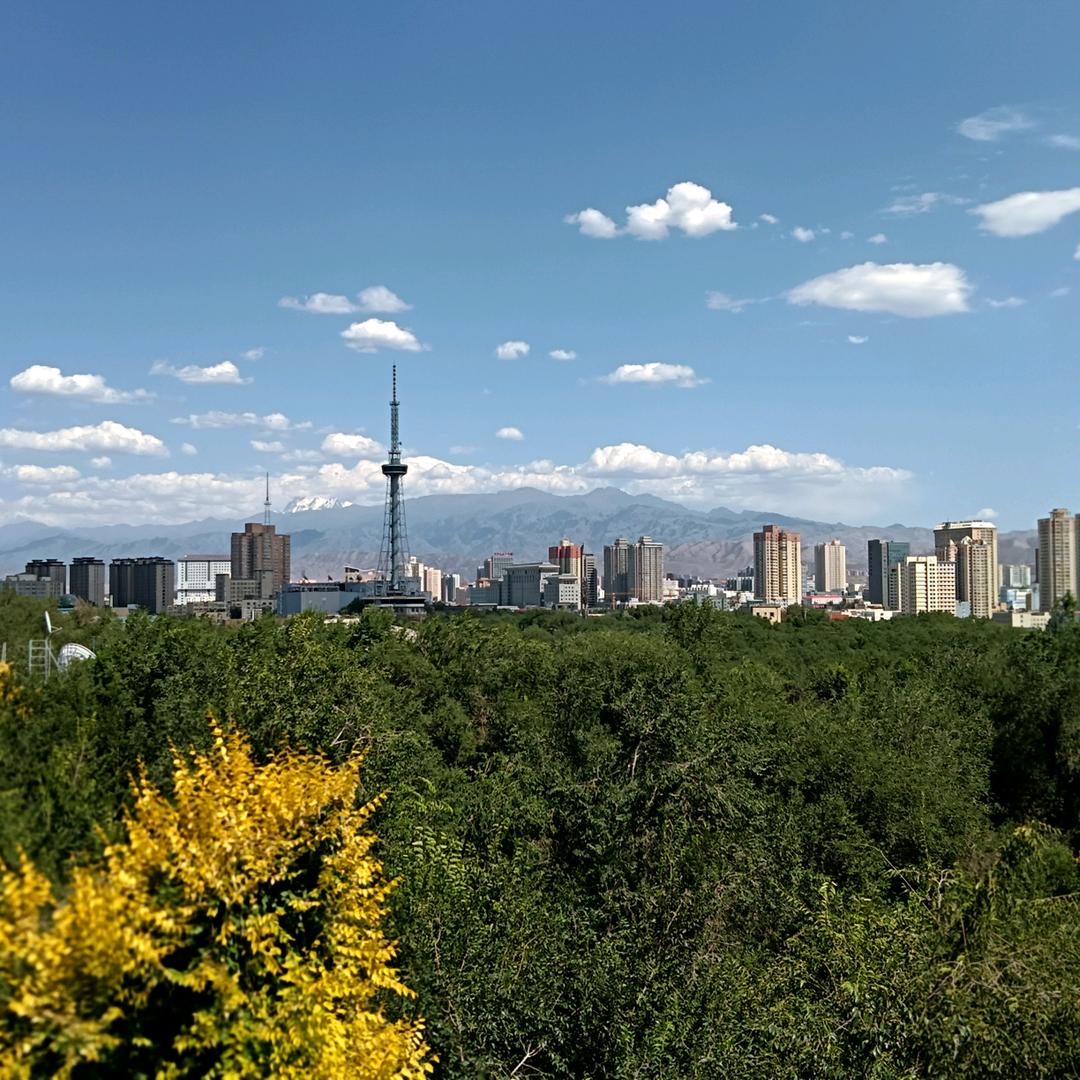 阿尤普🧃