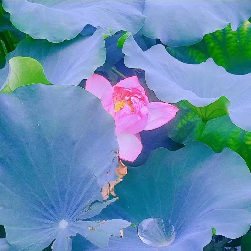 一个幸福