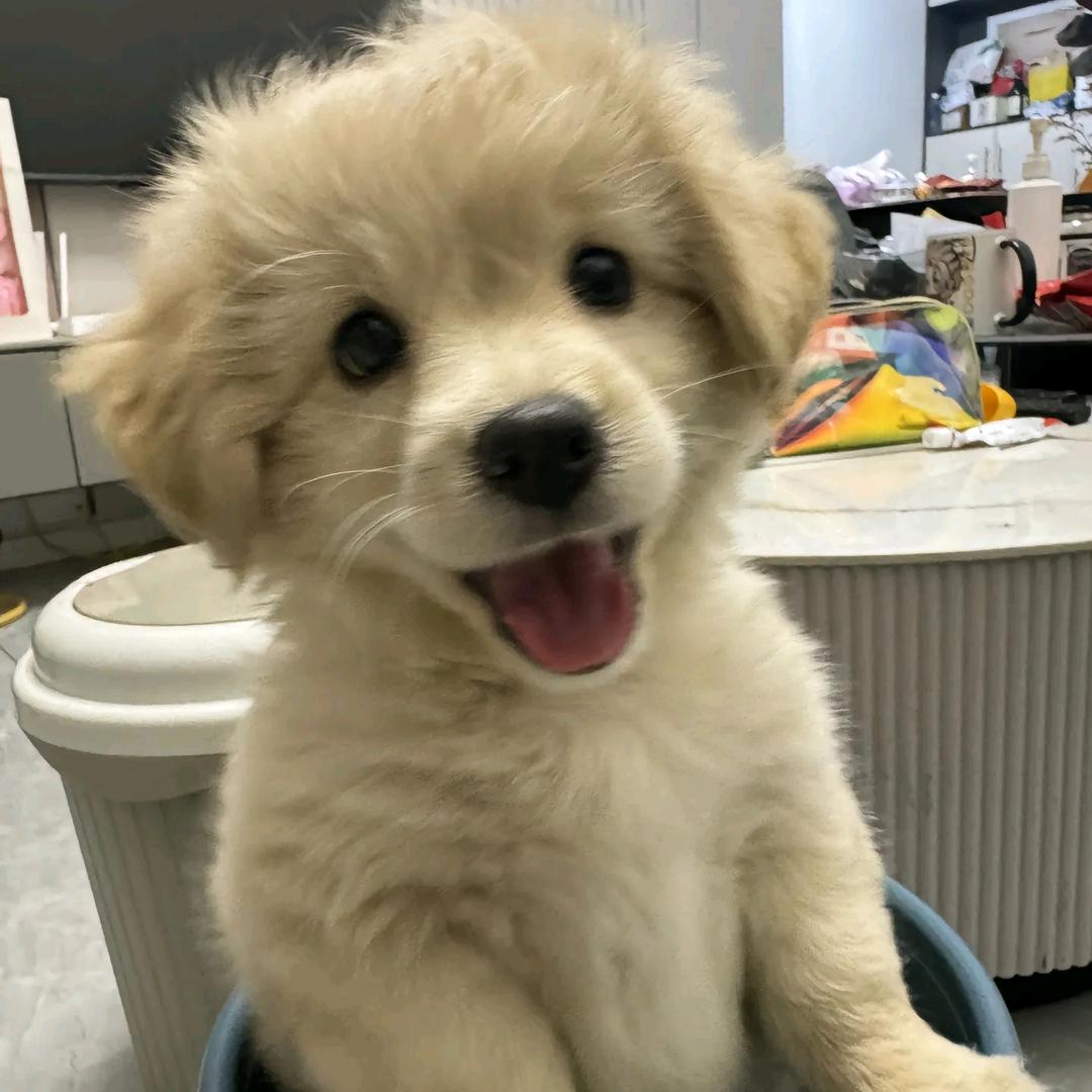 丧尸吃掉了我的脑袋